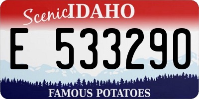 ID license plate E533290