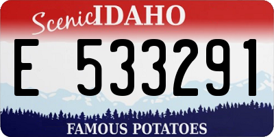 ID license plate E533291