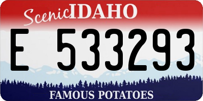 ID license plate E533293