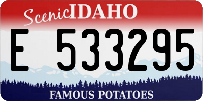 ID license plate E533295