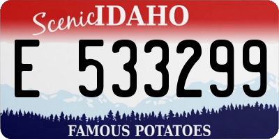 ID license plate E533299