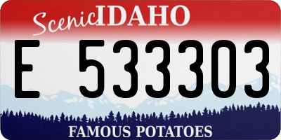 ID license plate E533303