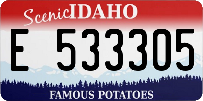 ID license plate E533305