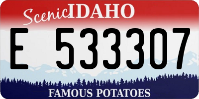 ID license plate E533307