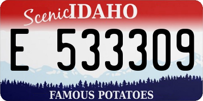 ID license plate E533309