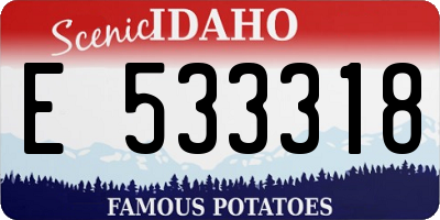 ID license plate E533318