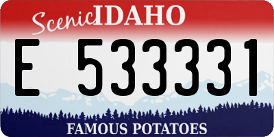 ID license plate E533331
