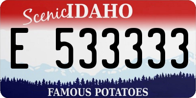 ID license plate E533333