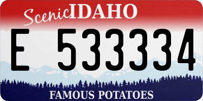 ID license plate E533334