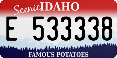 ID license plate E533338