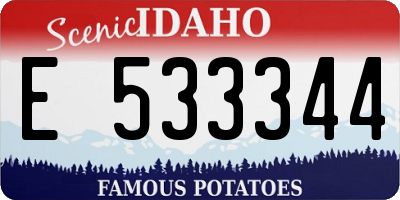 ID license plate E533344