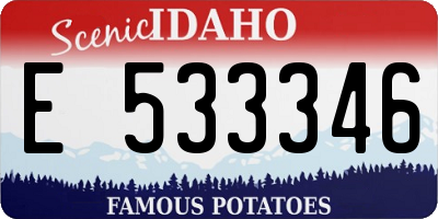 ID license plate E533346