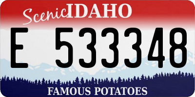 ID license plate E533348