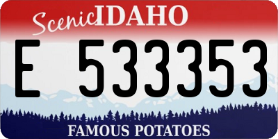 ID license plate E533353