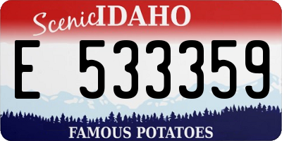 ID license plate E533359