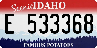 ID license plate E533368