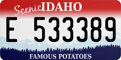 ID license plate E533389