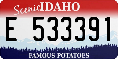 ID license plate E533391