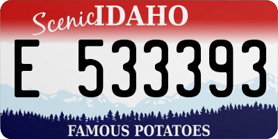 ID license plate E533393