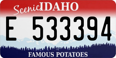 ID license plate E533394