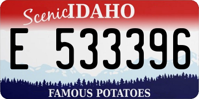 ID license plate E533396
