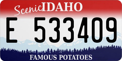 ID license plate E533409
