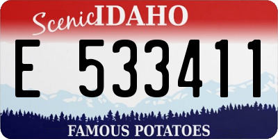 ID license plate E533411
