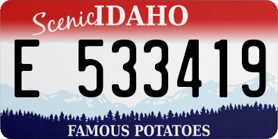ID license plate E533419
