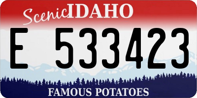 ID license plate E533423