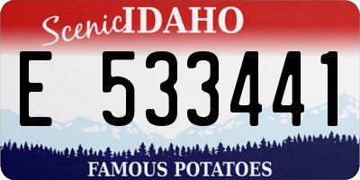 ID license plate E533441