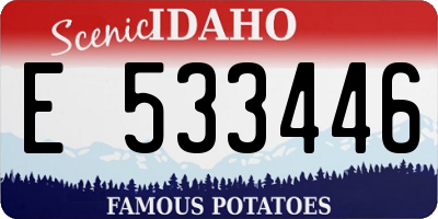 ID license plate E533446