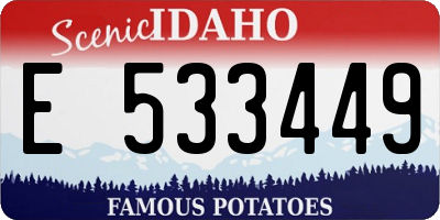 ID license plate E533449