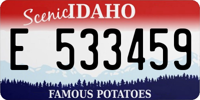 ID license plate E533459
