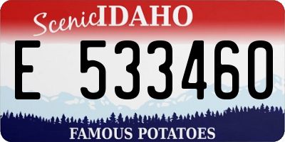 ID license plate E533460