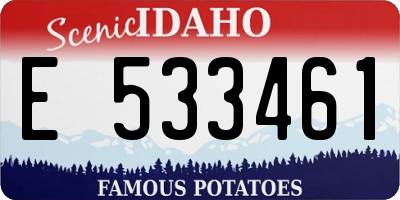 ID license plate E533461