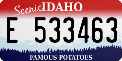 ID license plate E533463