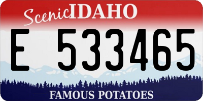 ID license plate E533465