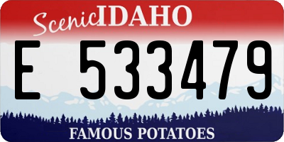 ID license plate E533479