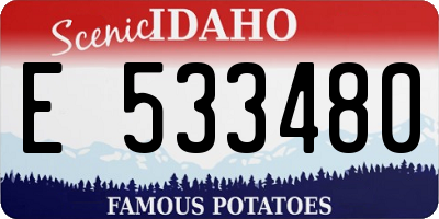 ID license plate E533480