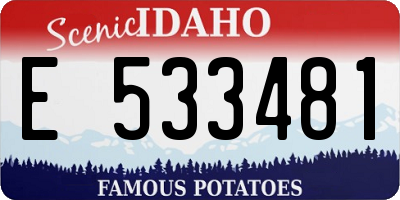 ID license plate E533481