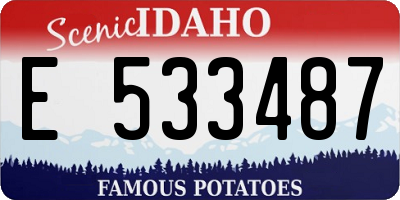 ID license plate E533487