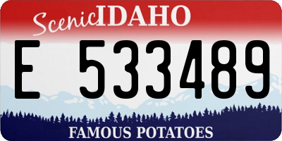 ID license plate E533489