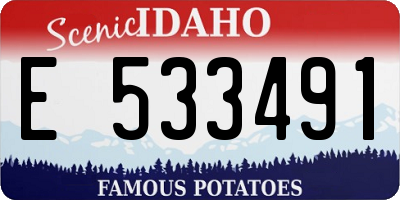 ID license plate E533491
