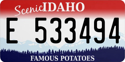 ID license plate E533494