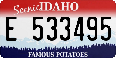 ID license plate E533495