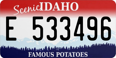 ID license plate E533496