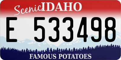 ID license plate E533498