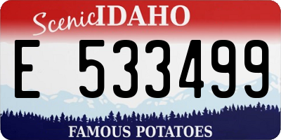 ID license plate E533499