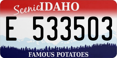 ID license plate E533503