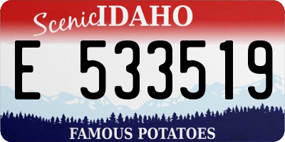 ID license plate E533519